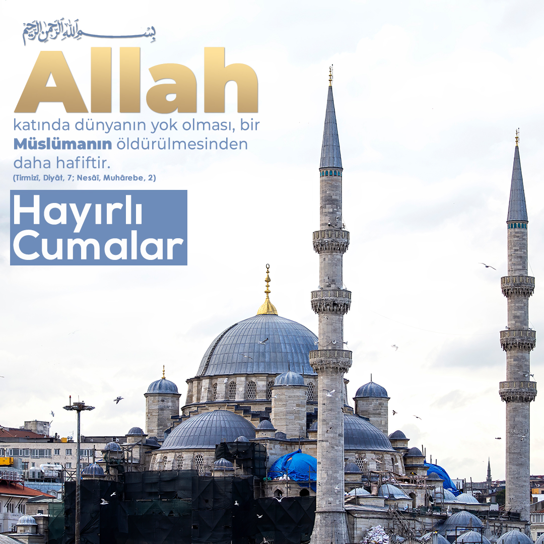 William James Sözleri